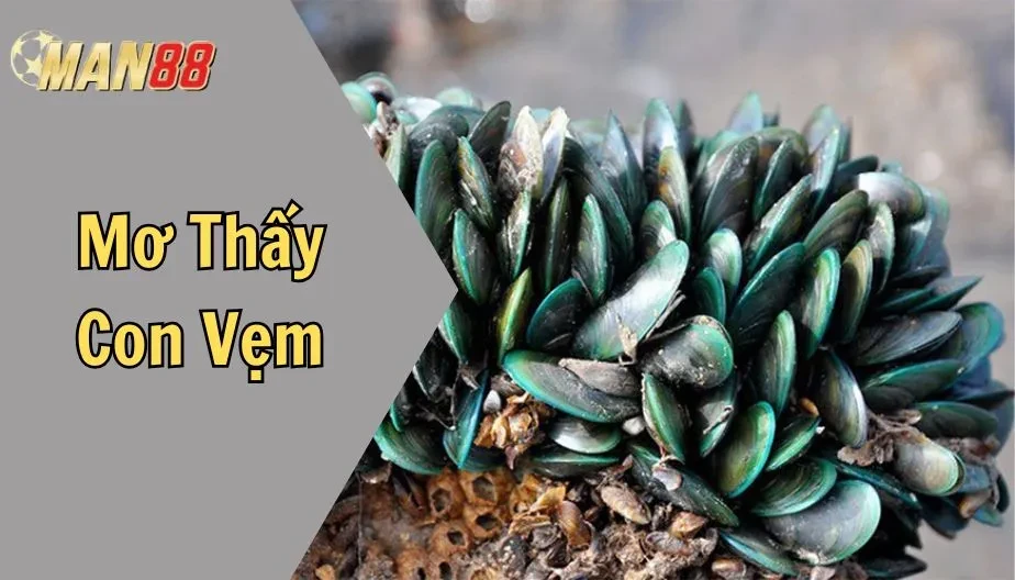 MAN88 Giải Mã Giấc Mơ Thấy Con Vẹm - Điềm Báo Và Con Số May Mắn