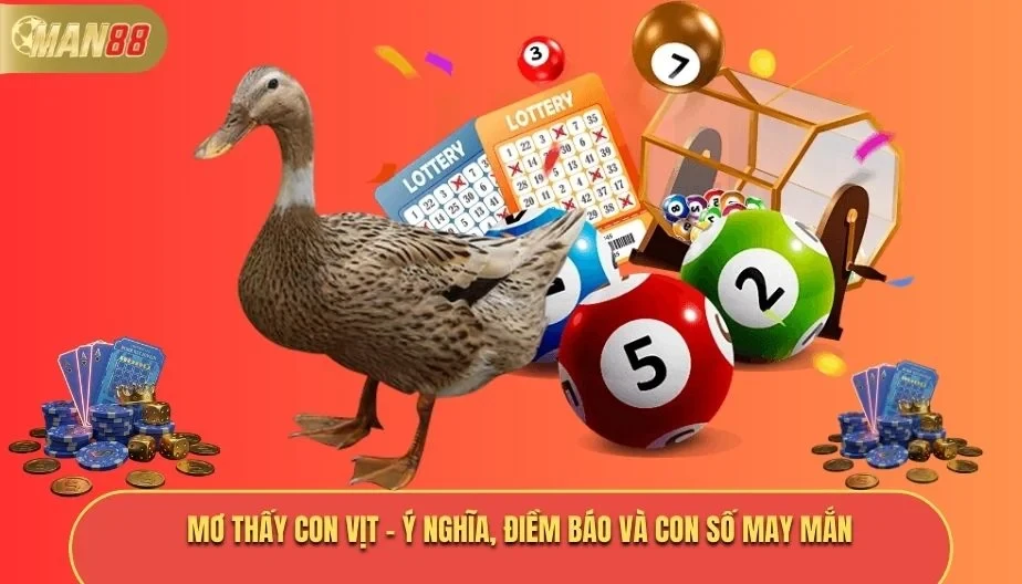 MAN88 Mơ Thấy Con Vịt - Ý Nghĩa, Điềm Báo Và Con Số May Mắn